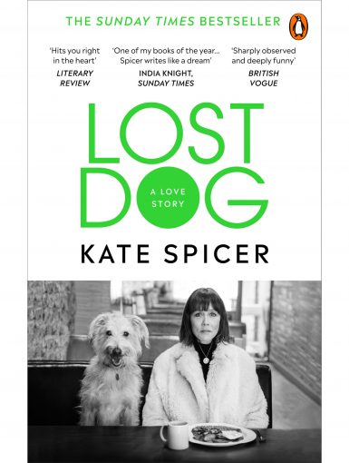 Lost Dog